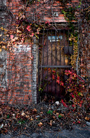 IMG_5202-copy