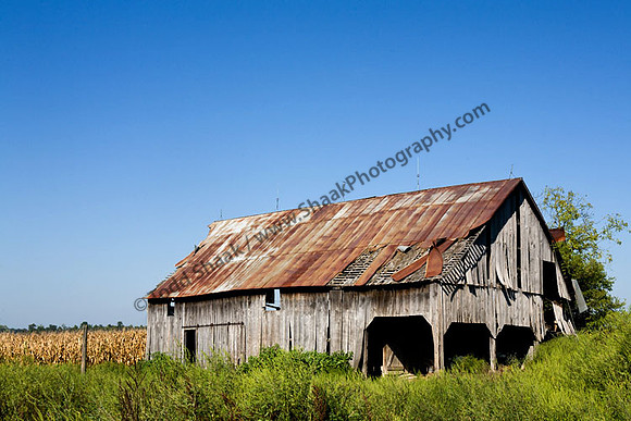 IMG_1177 copy