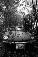 IMG_1626.3.BW copy Triumph TR6