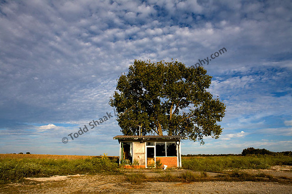 IMG_2001 copy