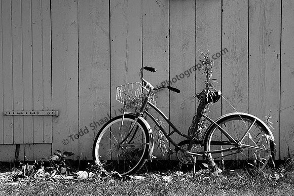 IMG_0789.3.BW copy