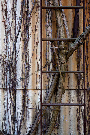 IMG_5400.4 copy