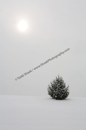 IMG_3065 copy