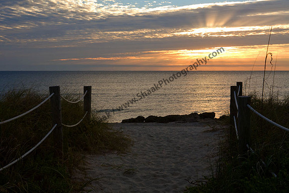 IMG_3717 copy
