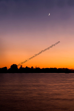 IMG_1383.3 copy