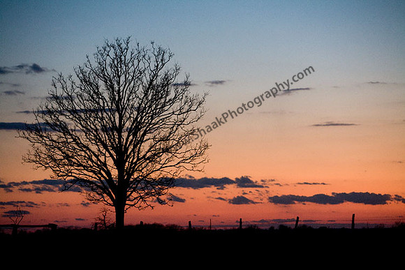 IMG_5149.4 copy