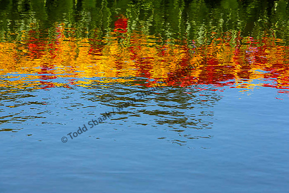 IMG_2601.6.2013 copy