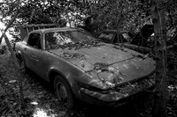 Triumph TR7