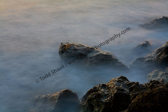 IMG_3801 copy