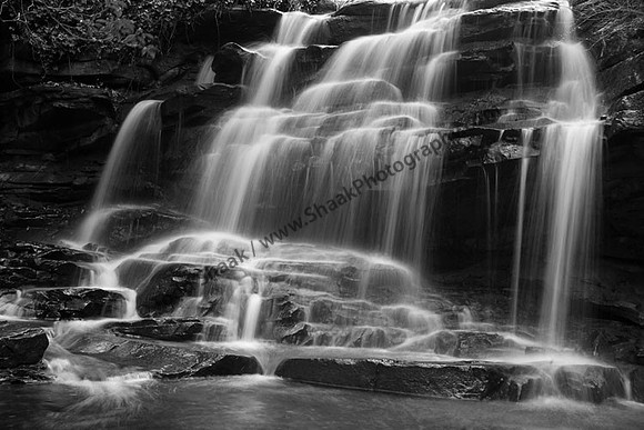 IMG_3209.BW copy