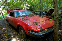 Triumph TR7
