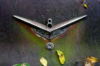 IMG_1160.2 copy