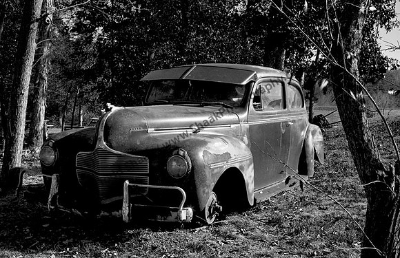 Dodge
