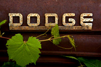 Dodge