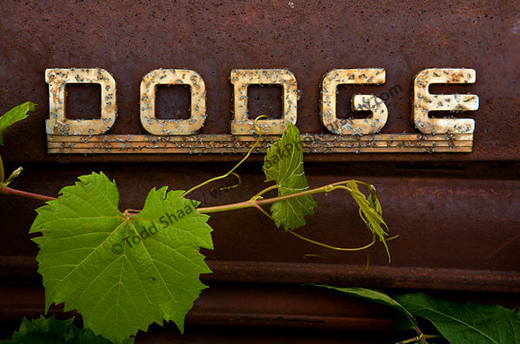 Dodge