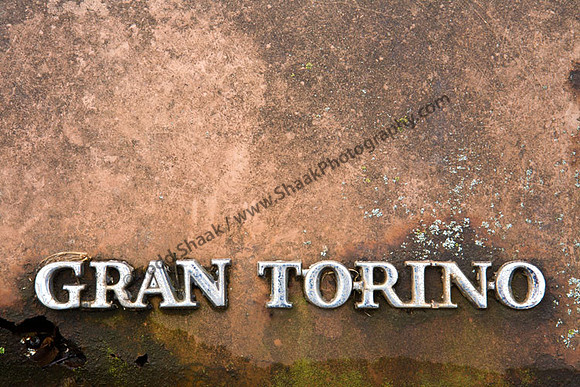 Ford Gran Torino