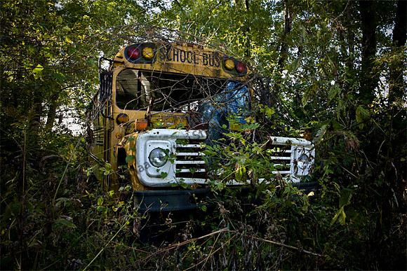 Ford Bus
