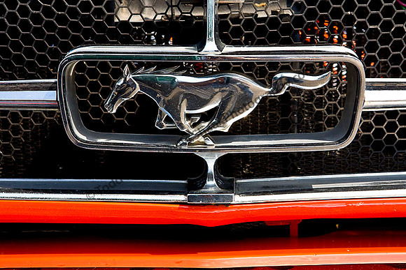 Mustang