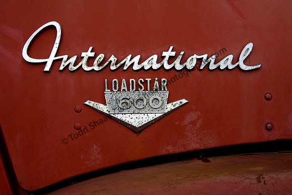 International