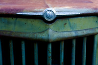 IMG_2365.5 copy