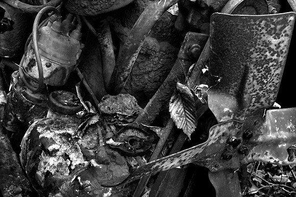 IMG_2598-BW copy