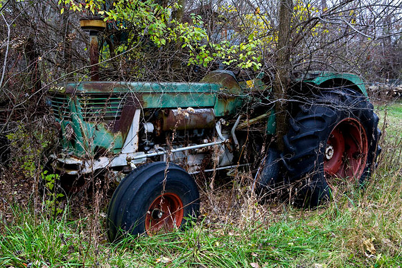 IMG_5552-1 copy