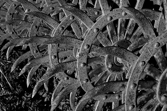 IMG_3655-BW