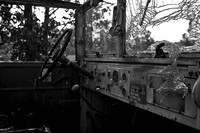 IMG_7222-1 copy