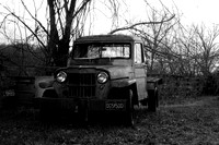 IMG_2360.5 copy