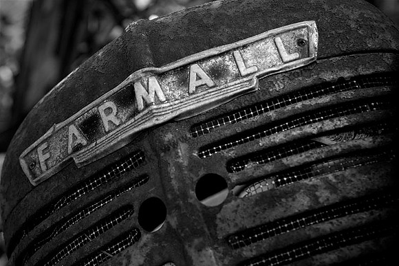 IMG_0858 copy