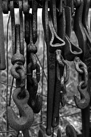 IMG_2420.3.BW copy