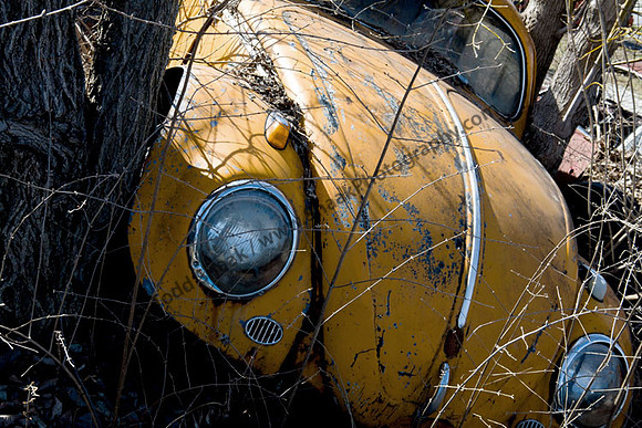 VW Volkswagen
