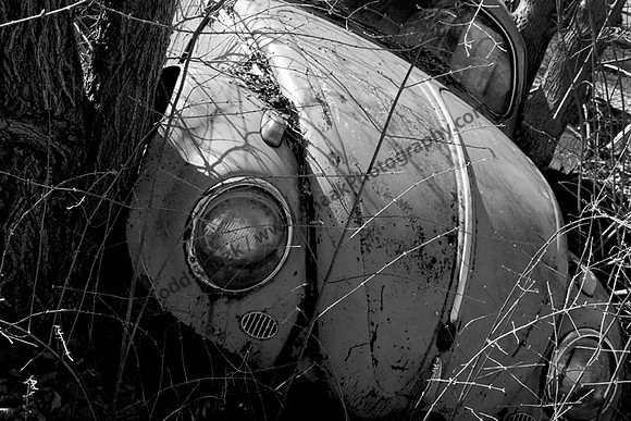 VW Volkswagen