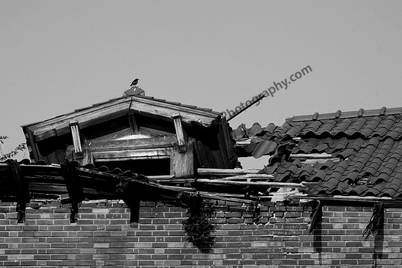 IMG_6422.3 copy