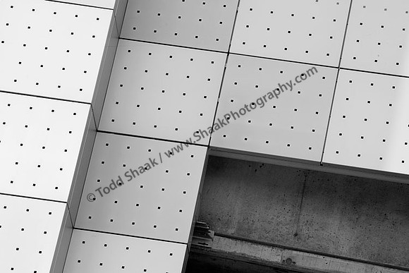 IMG_6409 copy