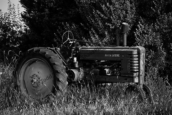 IMG_1017.BW copy
