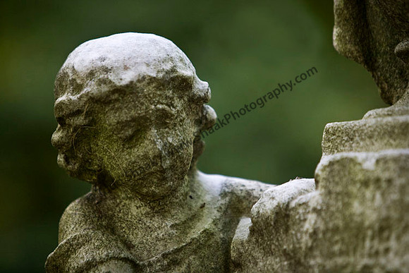 IMG_6313 copy