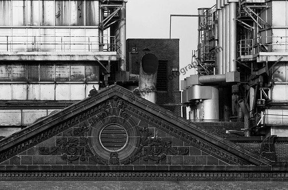 IMG_6087.BW copy