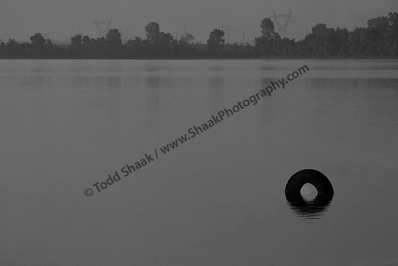 IMG_0479 copy