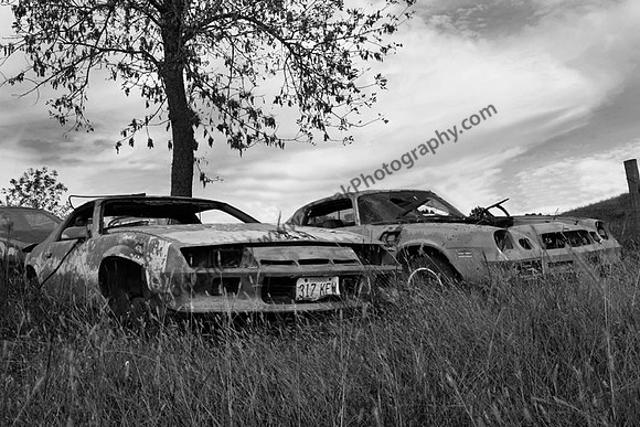 IMG_1918.2-BW copy