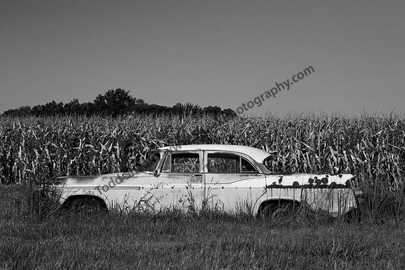 IMG_1111.2 copy