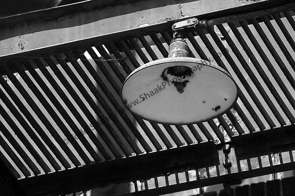 IMG_0843.BW copy