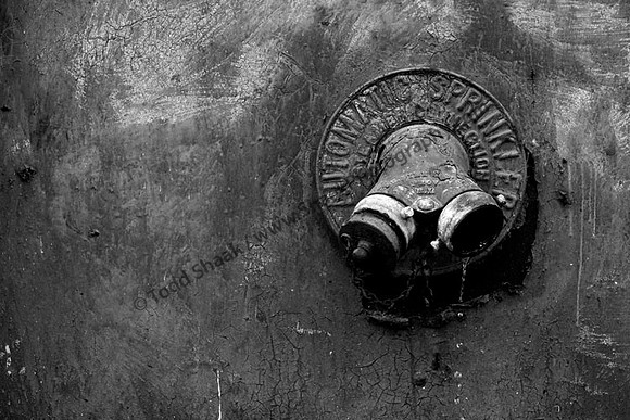 IMG_5911.BW copy
