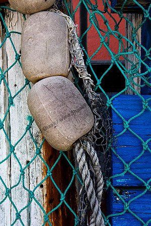 IMG_5221.2 copy