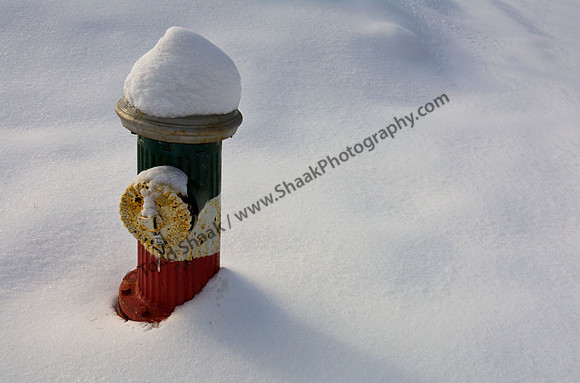 IMG_3077.2 copy