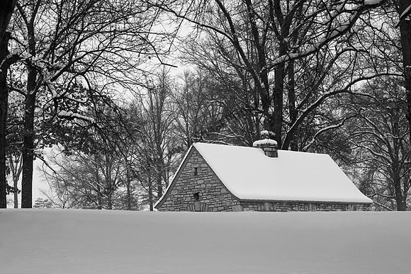IMG_3037-BW copy