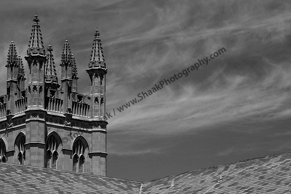 IMG_5747.BW copy