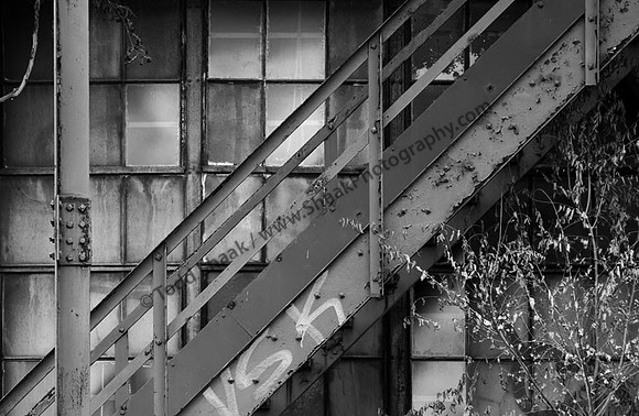 IMG_0832.BW copy