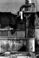 IMG_0020.BW copy