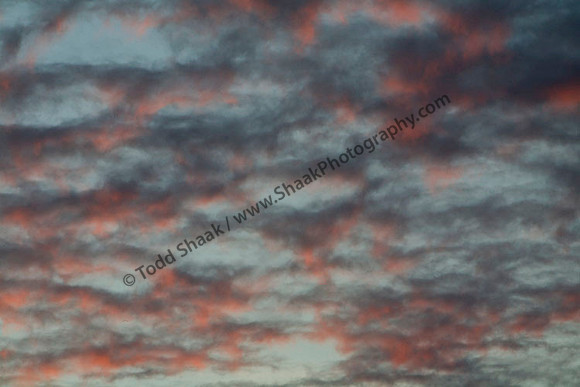 IMG_6133 copy